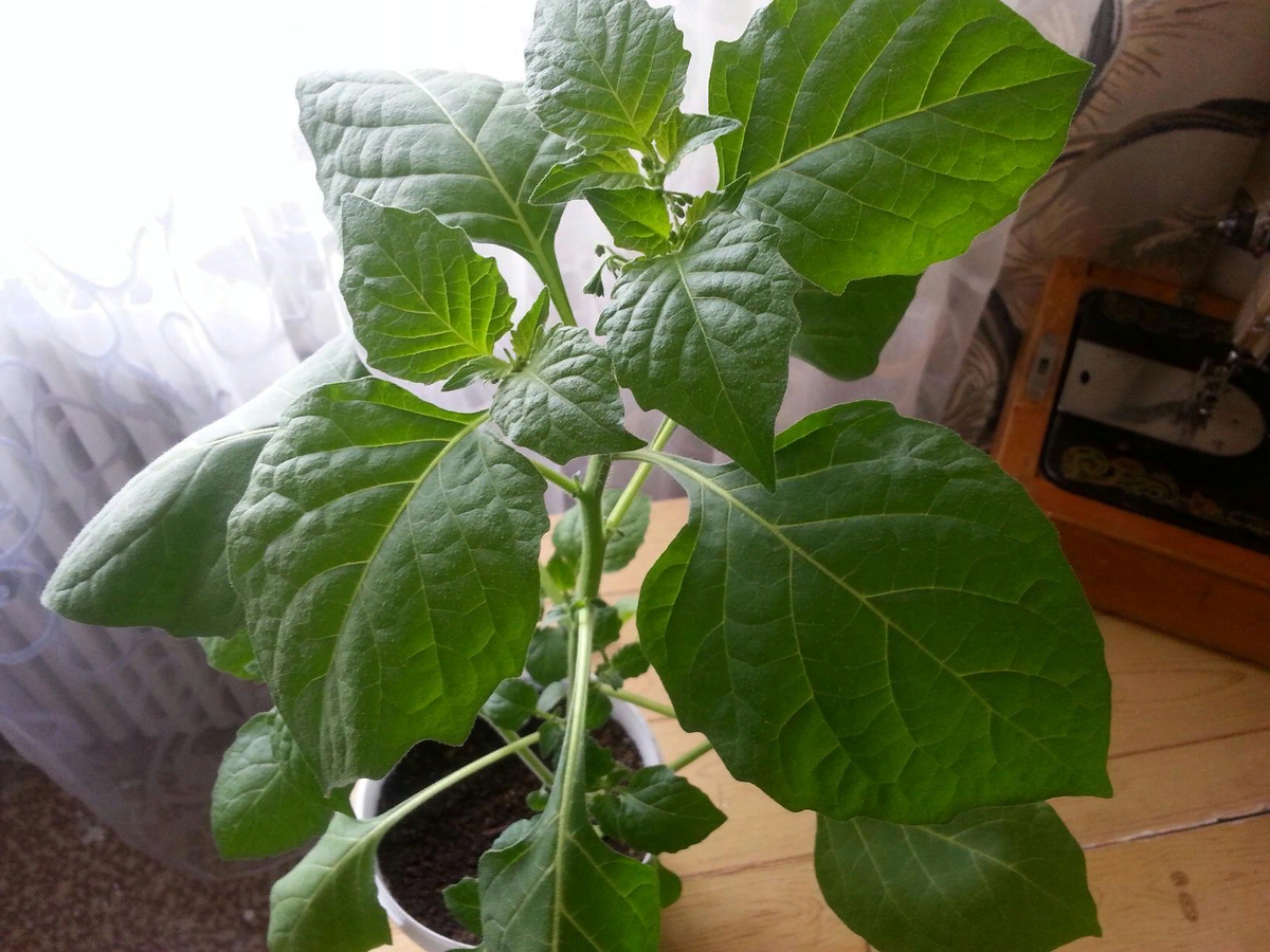 Фото автора от 27 марта