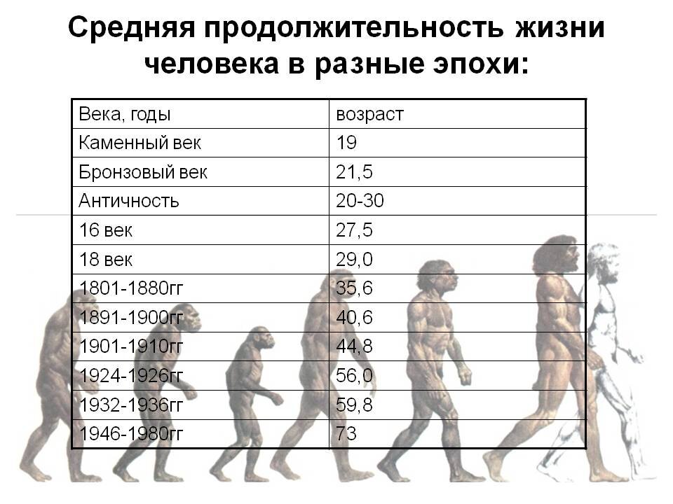 Как определяют возраст картин