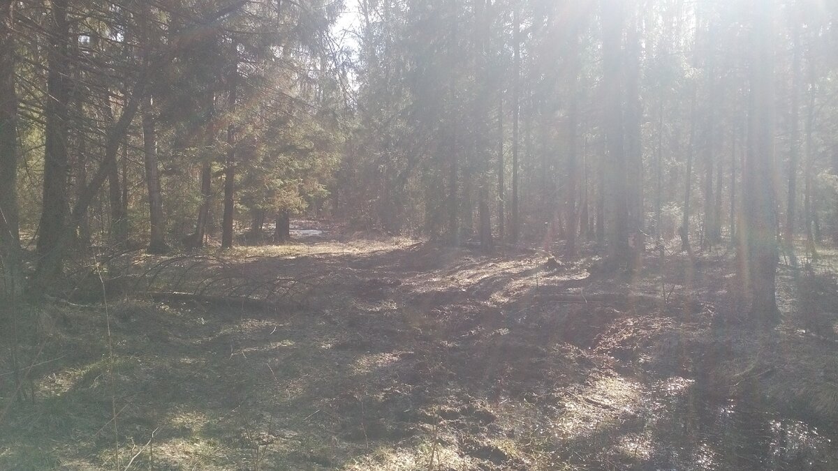 автор фото Александр 🛠