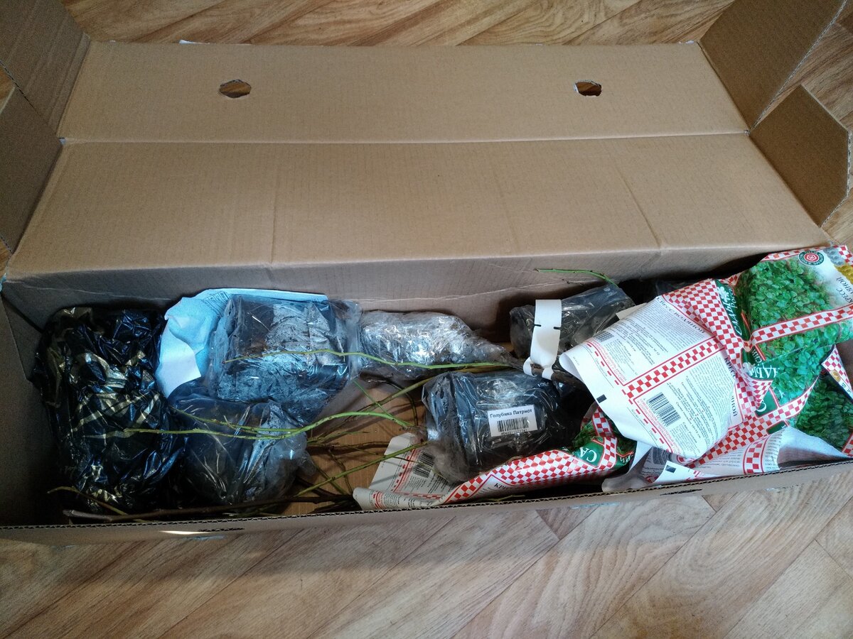 Дома наконец