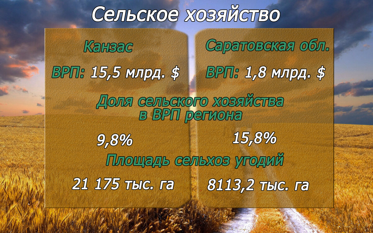 Саратовская область производит 11% от общероссийского производства подсолнечника – это так, просто интересный факт в копилочку. Выполнено автором