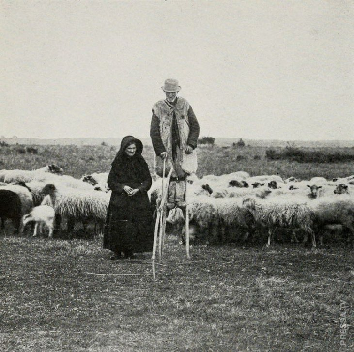 Пастух на ходулях 1908 год. Фото:  INTERNET ARCHIVE BOOK IMAGES