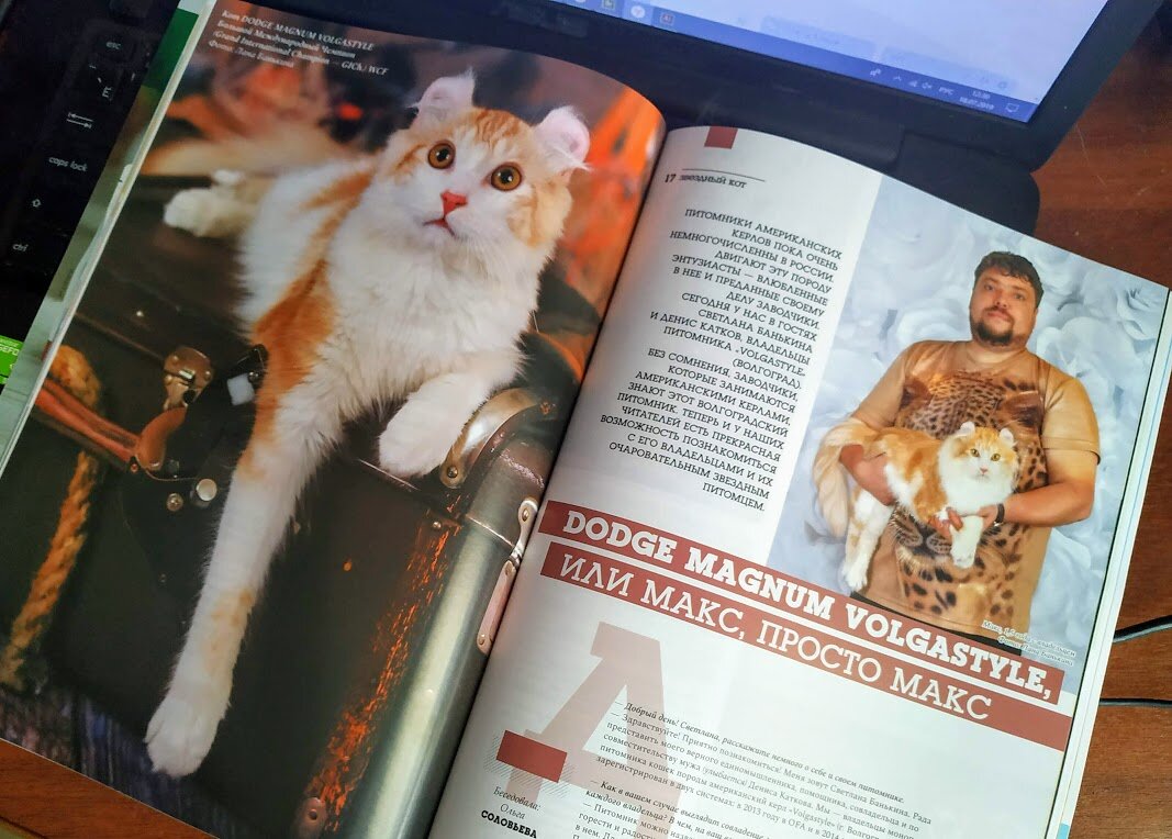 Разворот журнала КОШКИ-ИНФО (№7-8, 2019г)