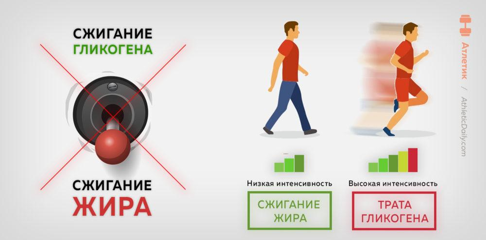 Тот самый «волшебный тумблер». Изображение с сайта https://athleticdaily.com