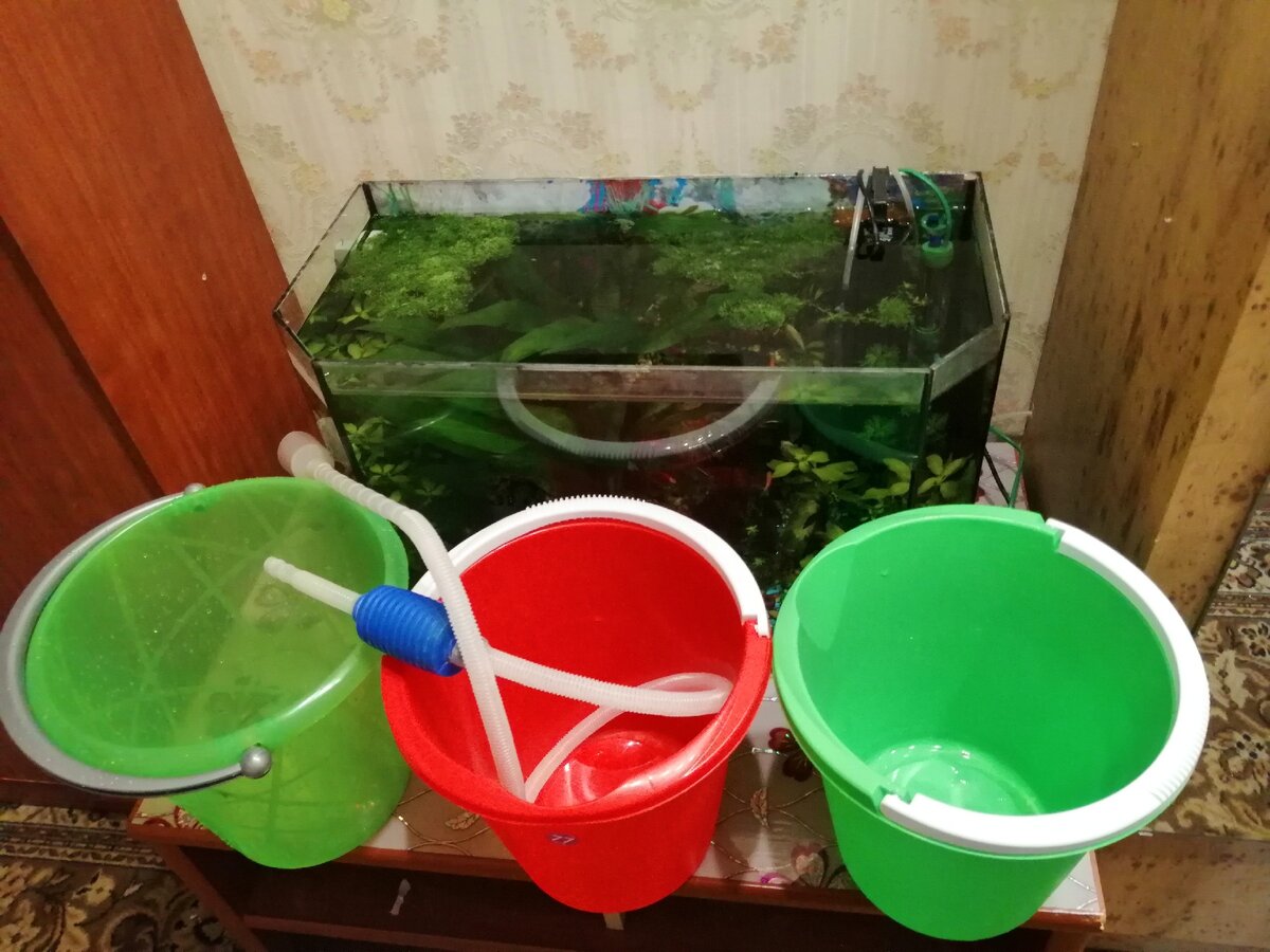 Ведра подготовлены! Всё остальное пойдет в раковину. 