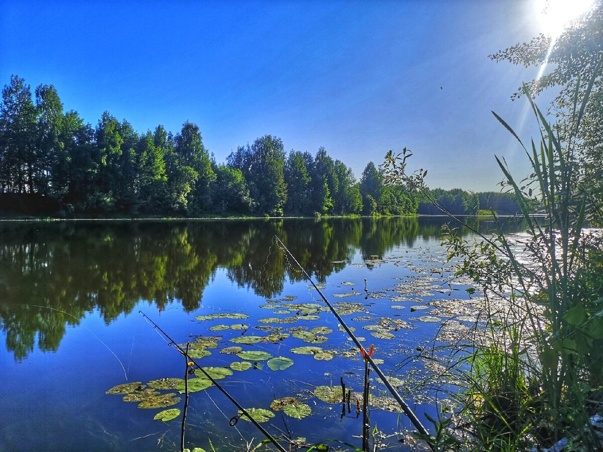 Река Костромка Кострома