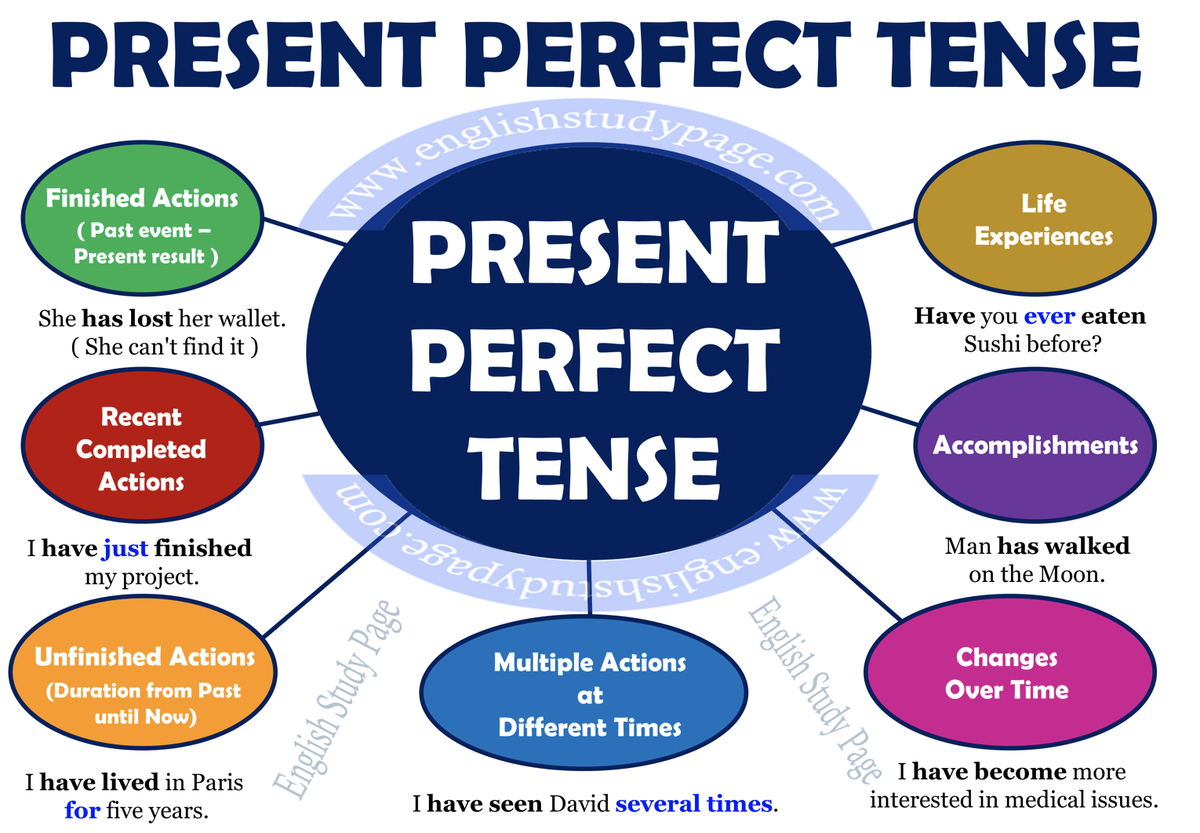 Has lived время. Present perfect грамматика английского. The present perfect Tense. The perfect present. Present perfect Tense правило.