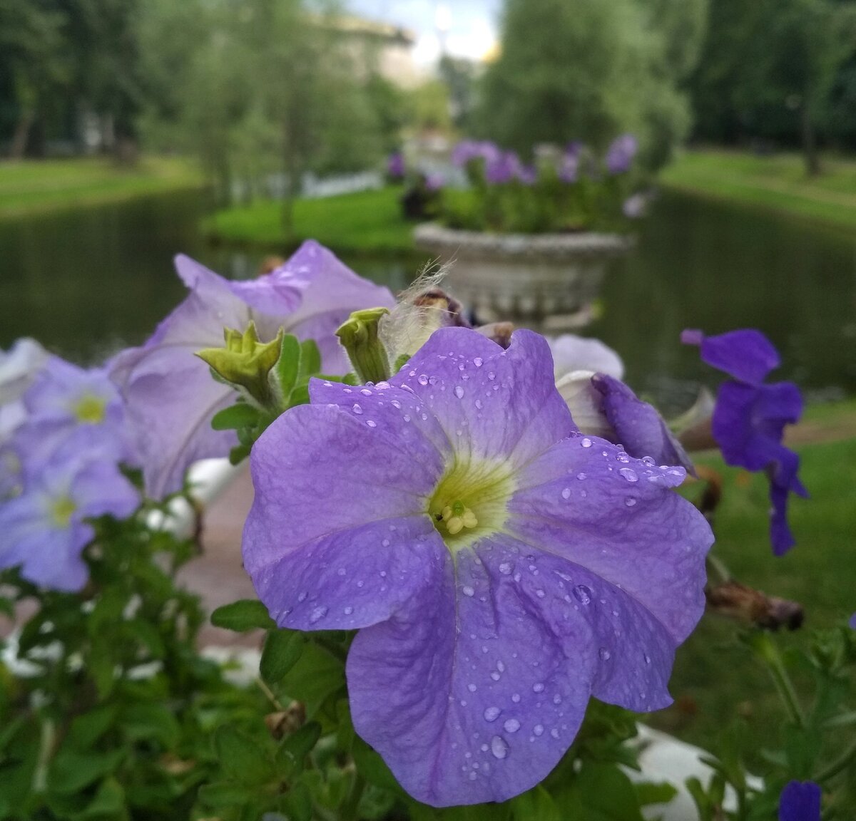 Фото из личного архива