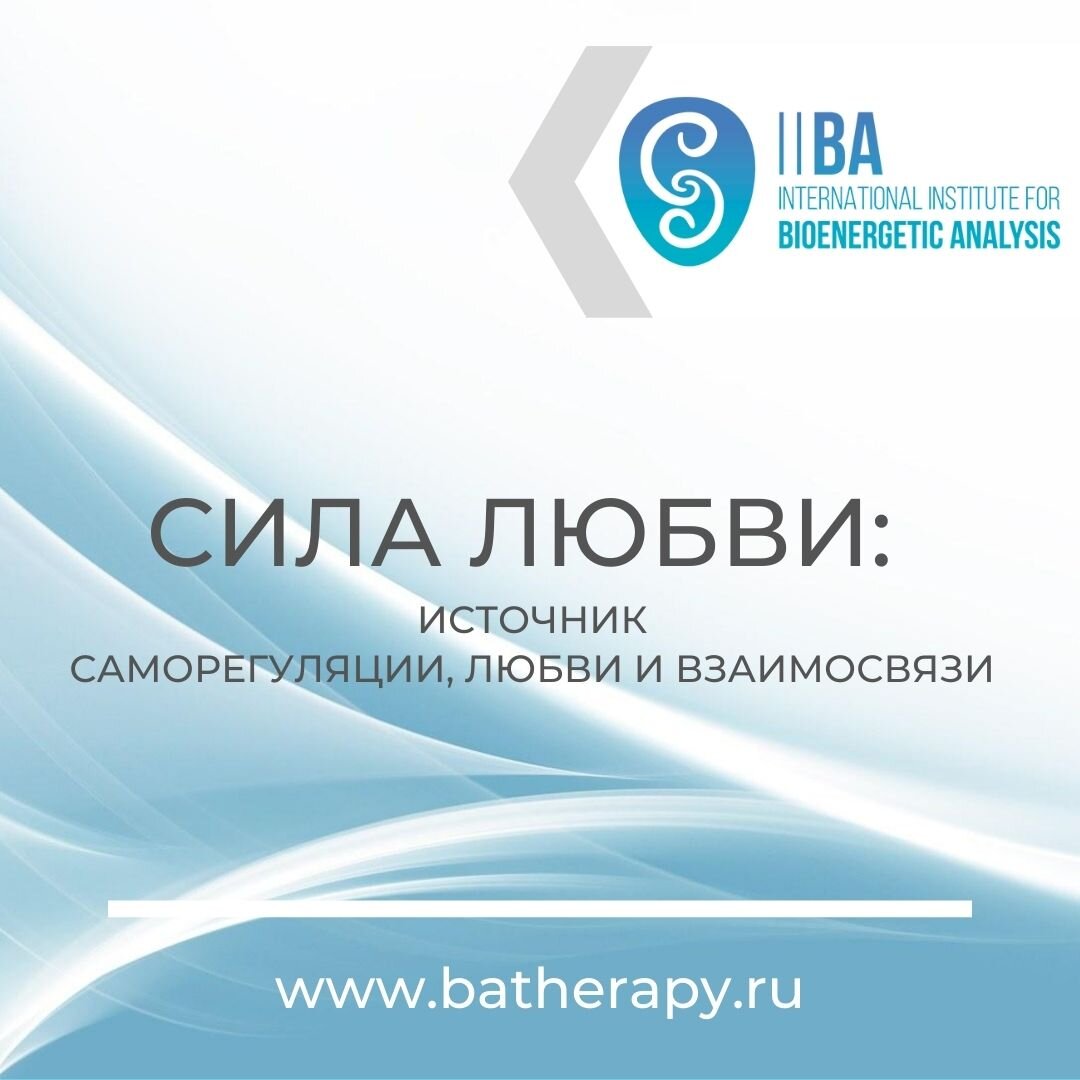 программа обучения биоэнергетическому анализу