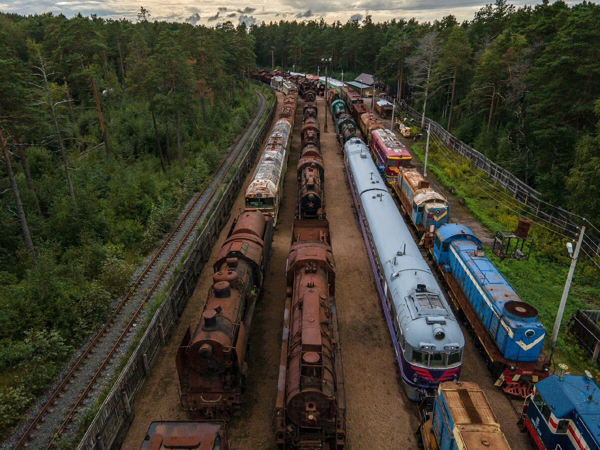 Фото принадлежит автору блога