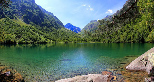 Фотография взята из источника yandex.ru  