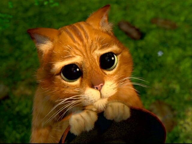                                                               Оцени мою статья пожалуйста