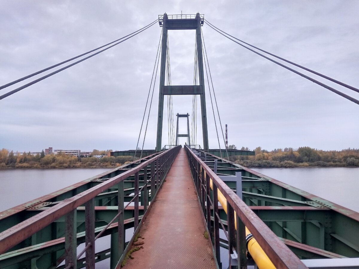 Залезли на заброшенный вантовый мост в Ленобласти. Считали себя отважными,  пока не встретили местных бабушек | Необъятная Родина с Лидией Шараповой |  Дзен