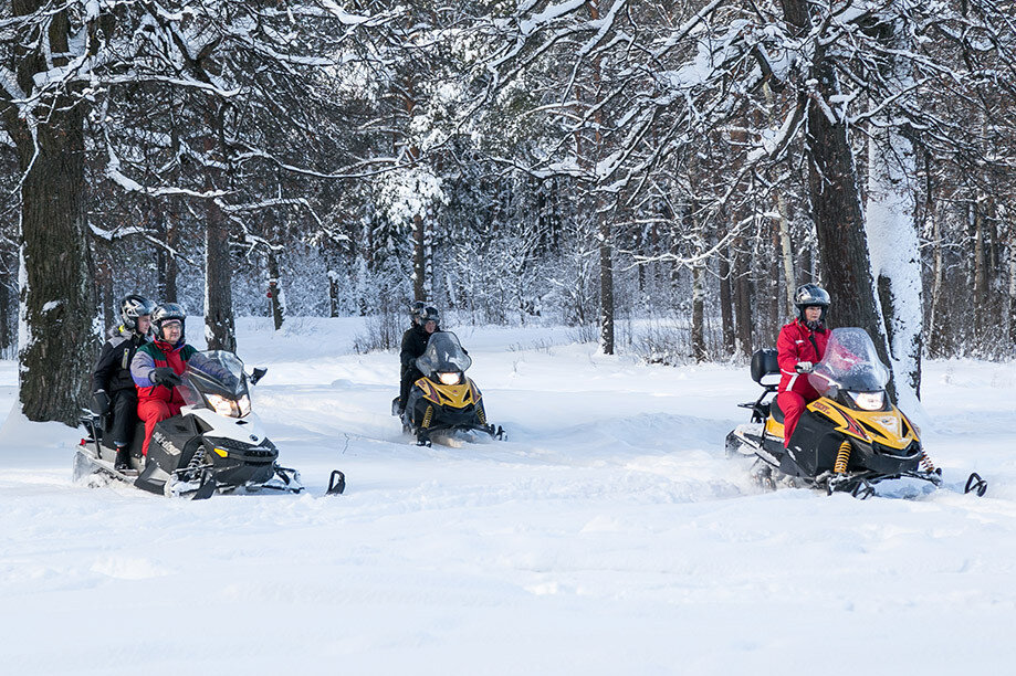 Тур на снегоходах по лесу 