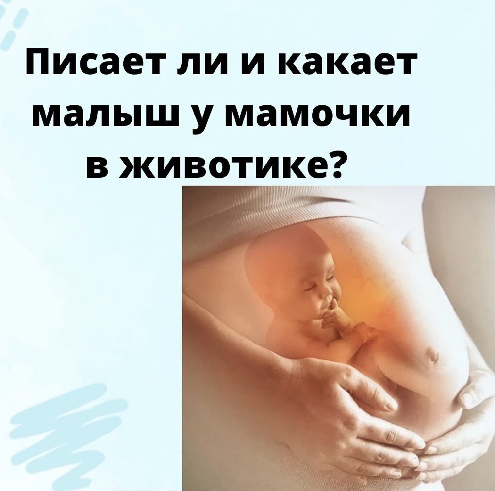 Писает и какает малыш в животе у мамочки? | Центр ЭКО Меркурий | Дзен