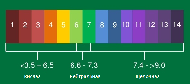 Шкала определения кислотности.