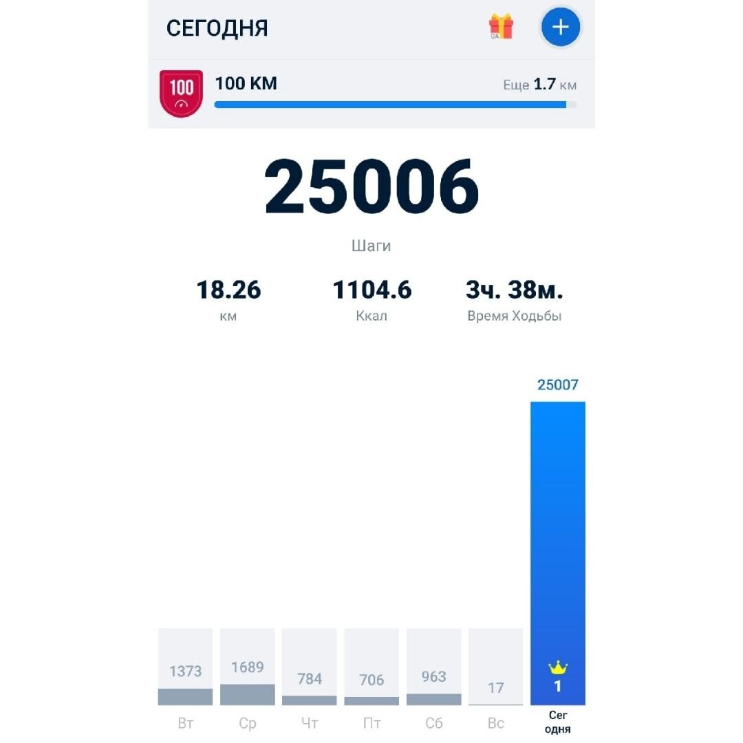 20000 шагов в км