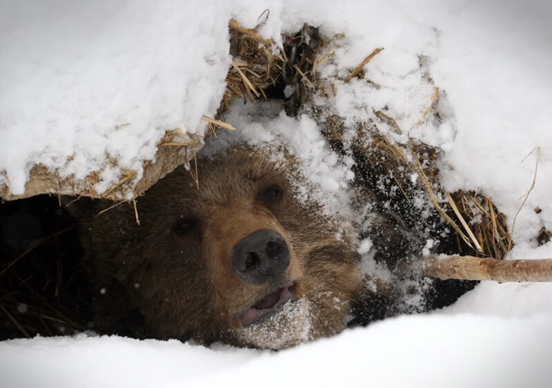 Источник: яндекс картинки