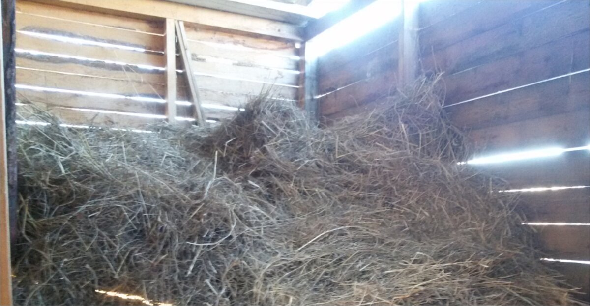 Сеновал. Фото автора