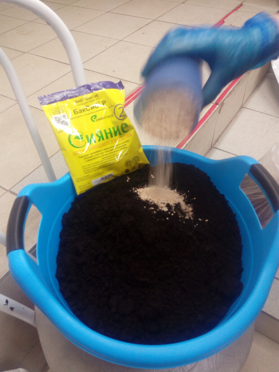 Подготовка грунта за 2-3 недели до посадки (фото автора). 