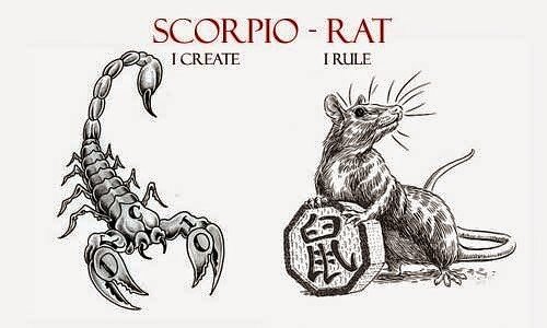 Мужчина рожденный крыса скорпион. Крыса Скорпион. Тату крыса. Тату Скорпион и крыса. Год крысы знак зодиака Скорпион.