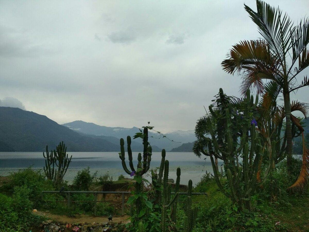 Покхара. Вид с набережной на озеро Фева.