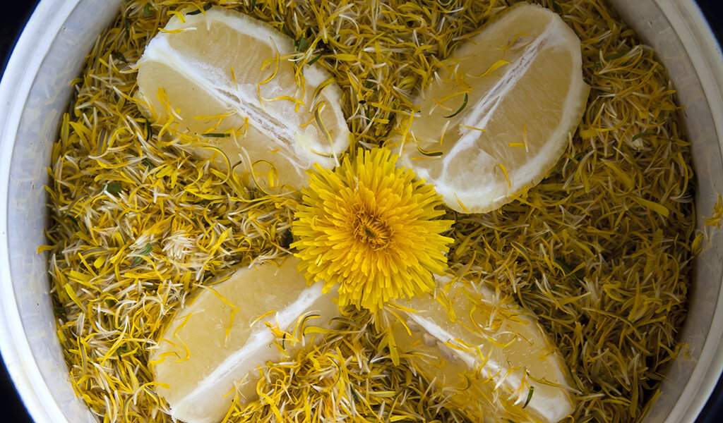 Для варенья вам нужны головки одуванчиков, собранные в ЧИСТОМ месте (ни у дороги, ни в городе), лимоны, вода и сахар.