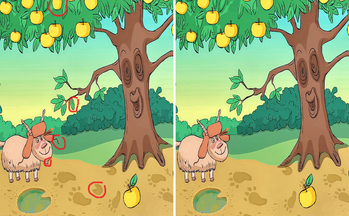 Find the Differences - Animals - Праграмы ў Google Play
