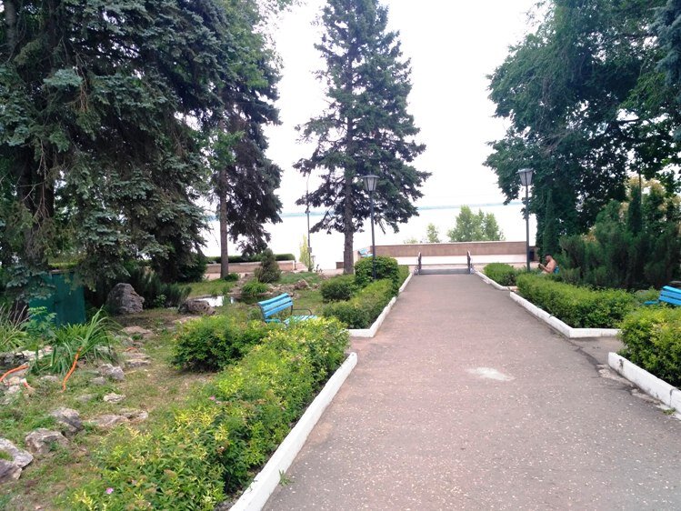 Фото автора статьи