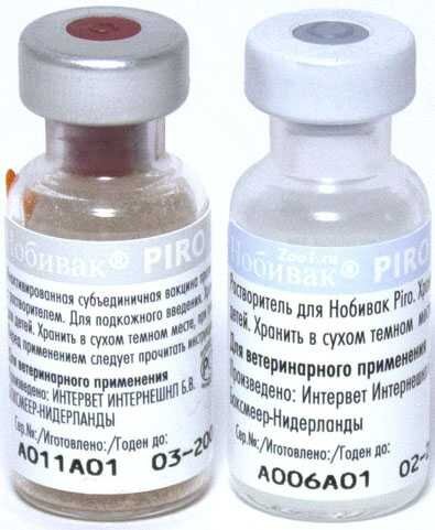 Фото из свободного доступа