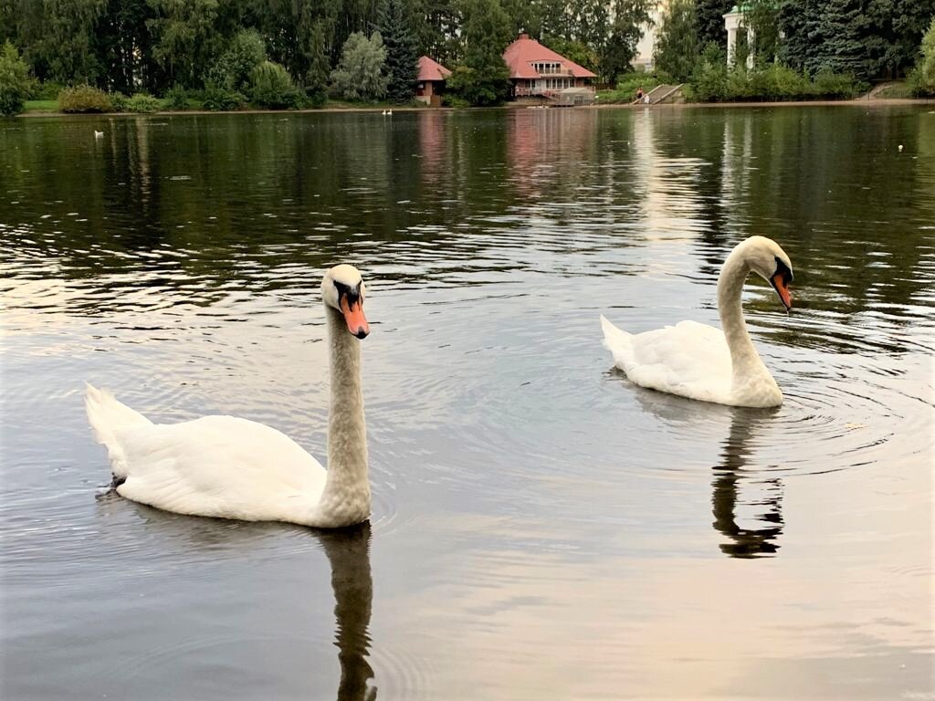 Идиллия. Работа Е. Островской.