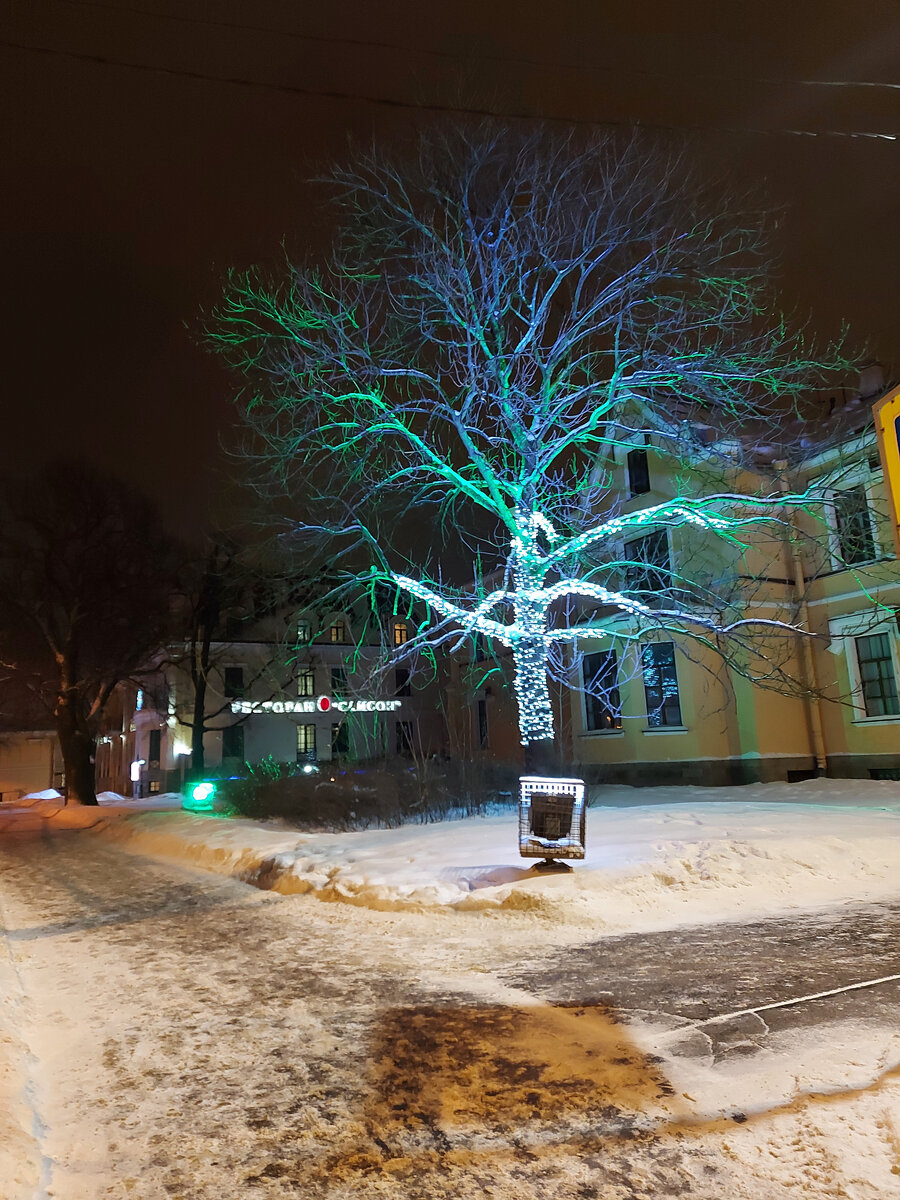 Вот какое красивое дерево попалось мне по пути.