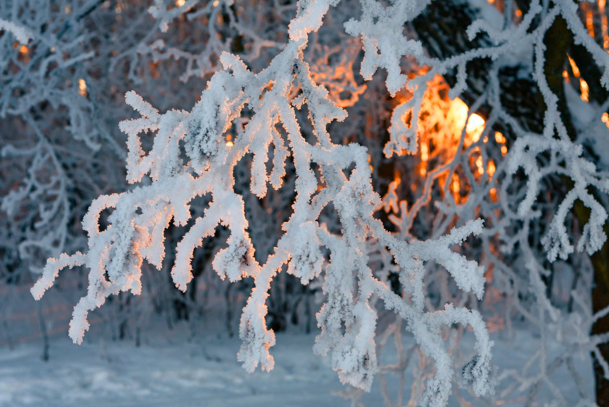Фото из бесплатного доступа.