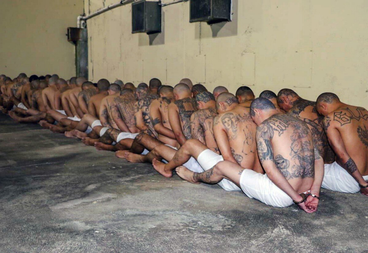 Фото в свободном доступе.