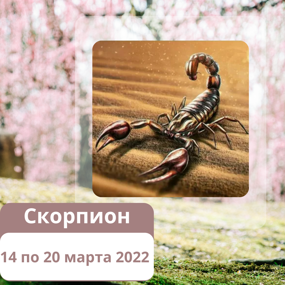 Гороскоп на неделю Скорпион с 14 по 20 марта 2022 года