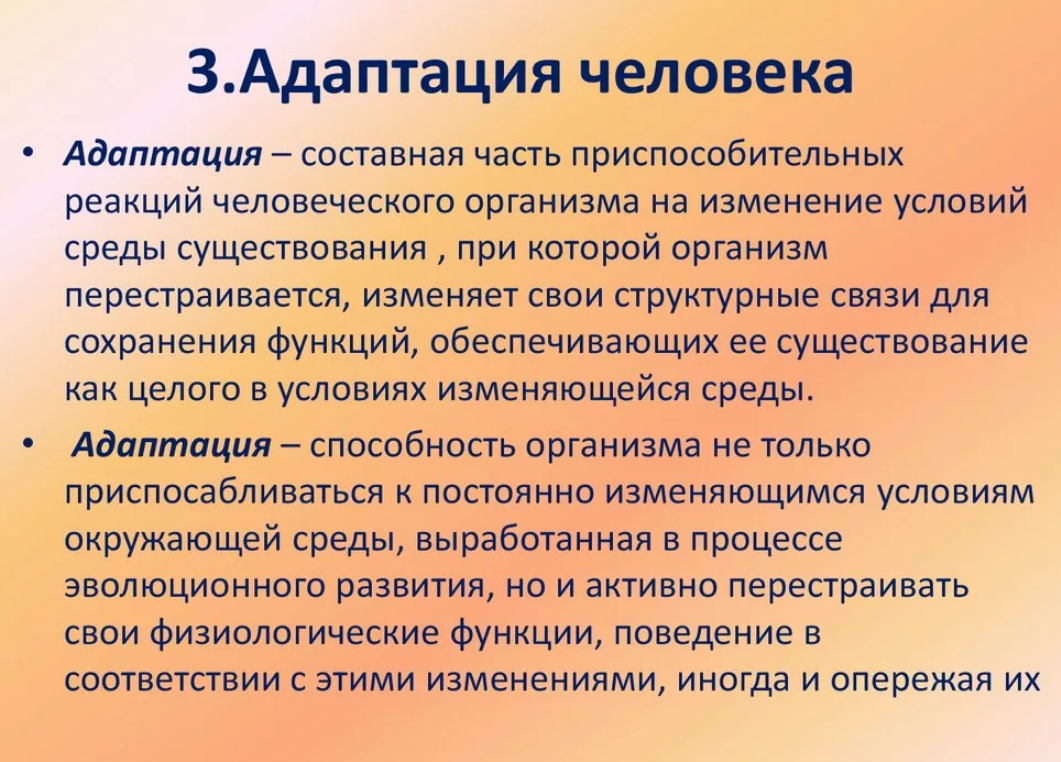 Адаптация человека это