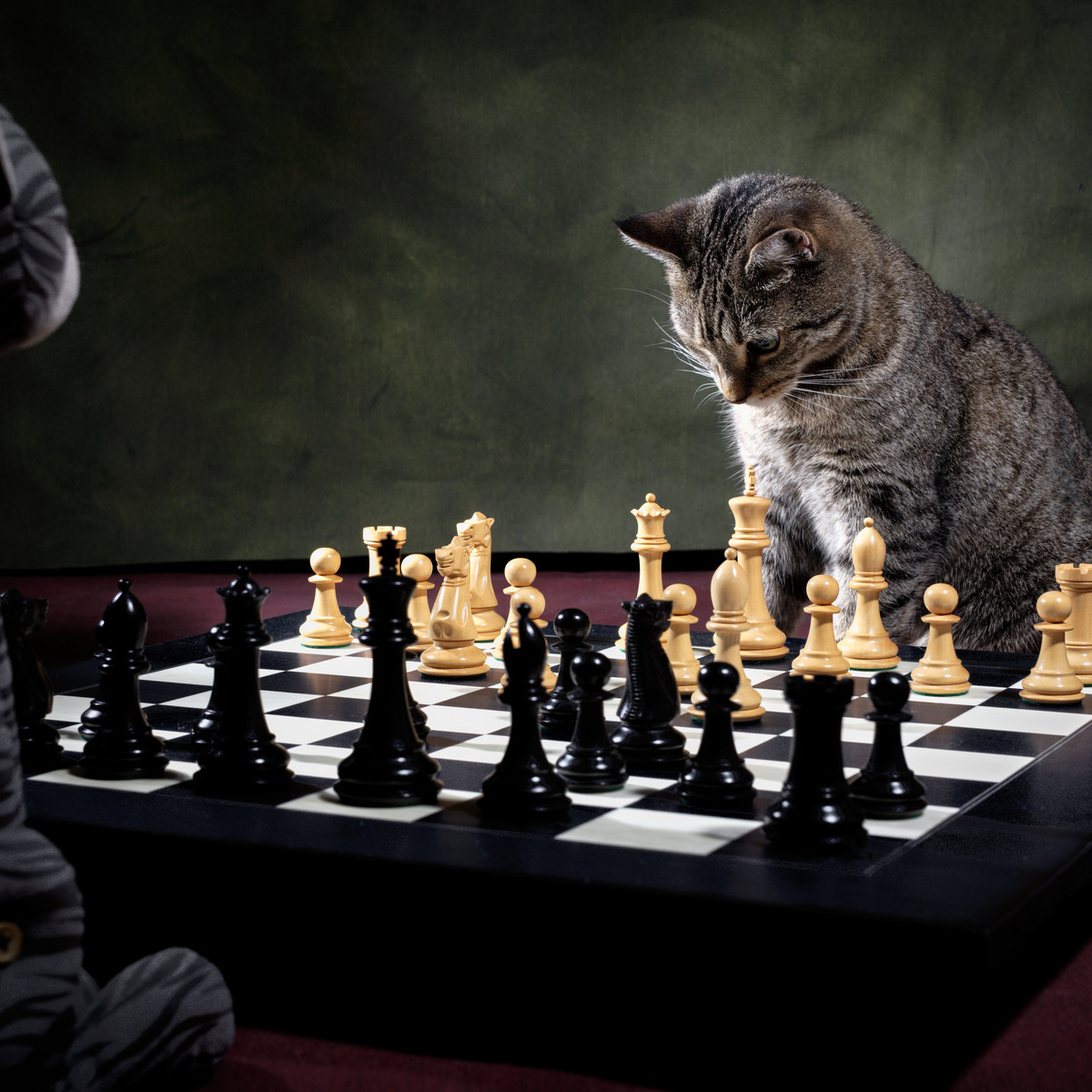 Фото взято из открытых источников.