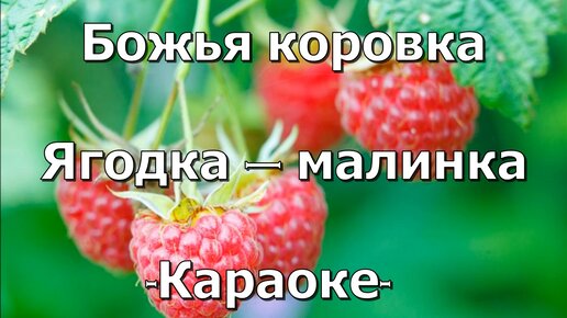 Ягодка малинка божья коровка слушать. Божья коровка Ягодка Малинка. Ягода Малинка караоке ягода Малинка караоке. Ягодка Малинка караоке. Группа Божья коровка Ягодка Малинка.