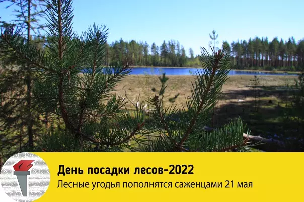 Пресс-служба администрации Кингисеппского района