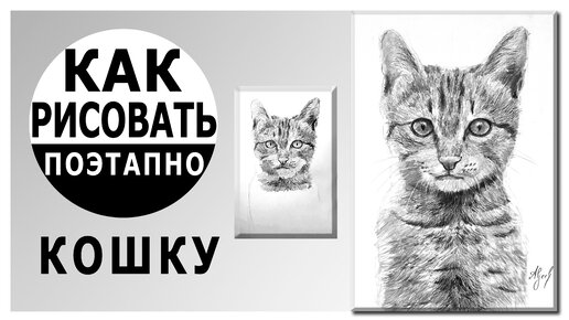 Авдеев рисует | Как нарисовать поэтапно кошку. Как нарисовать шерсть ...