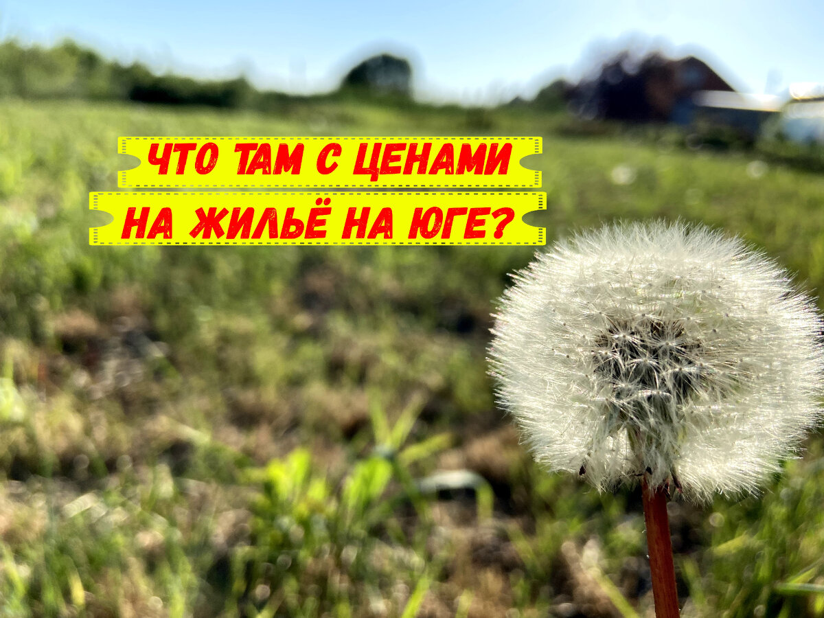 Что там с ценам на жильё на юге? Хороший у меня одуванчик получился?)
