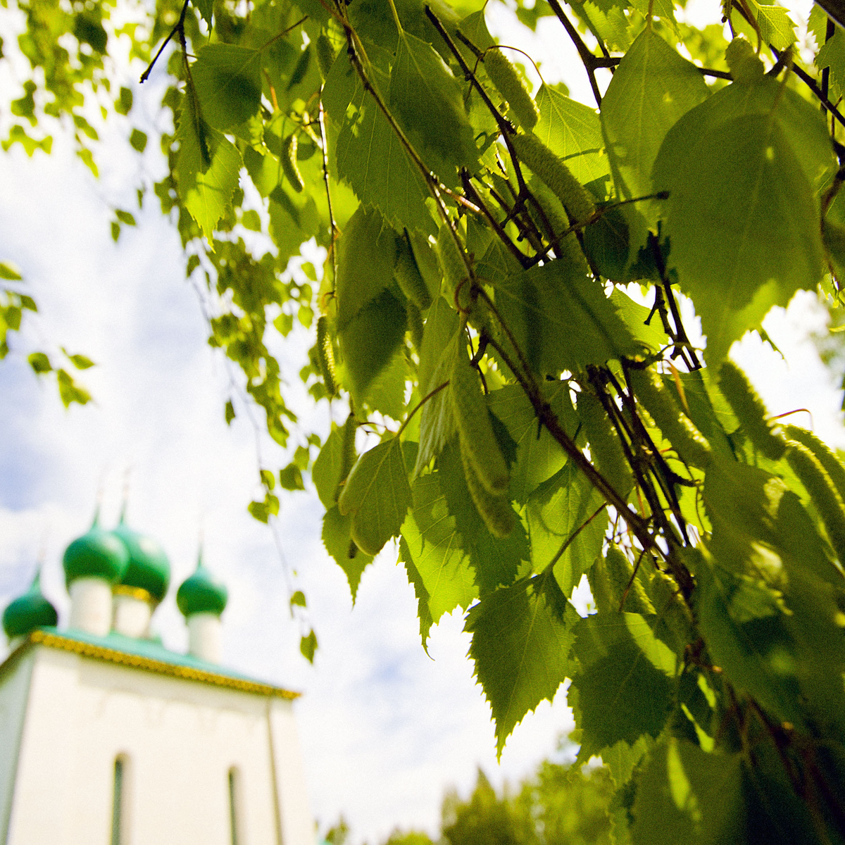 храм преподобного Сергия Радонежского на Красном холме Куликова поля