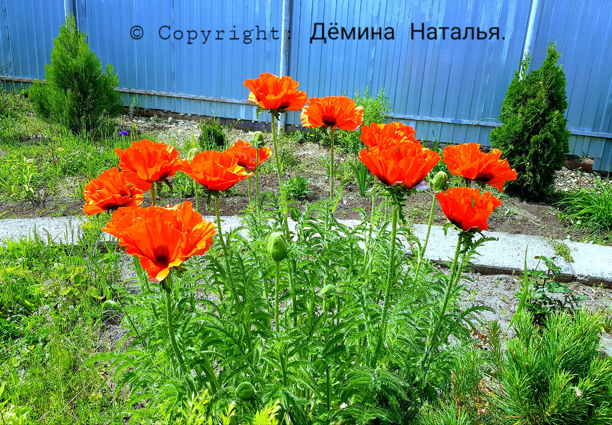 Фотография из личного архива автора. 