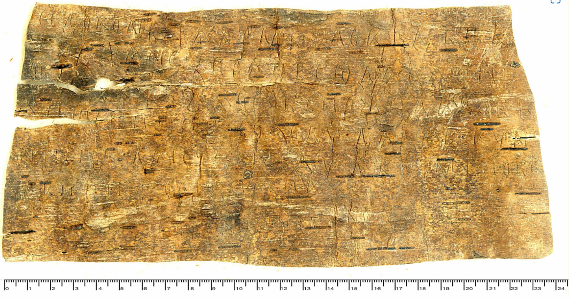 Письмена древней руси на березовой коре. Берестяные грамоты древней руси памятники. Обработка бересты для поделок. Как найти бересту. Новгородские берестяные грамоты 11-15 веков.