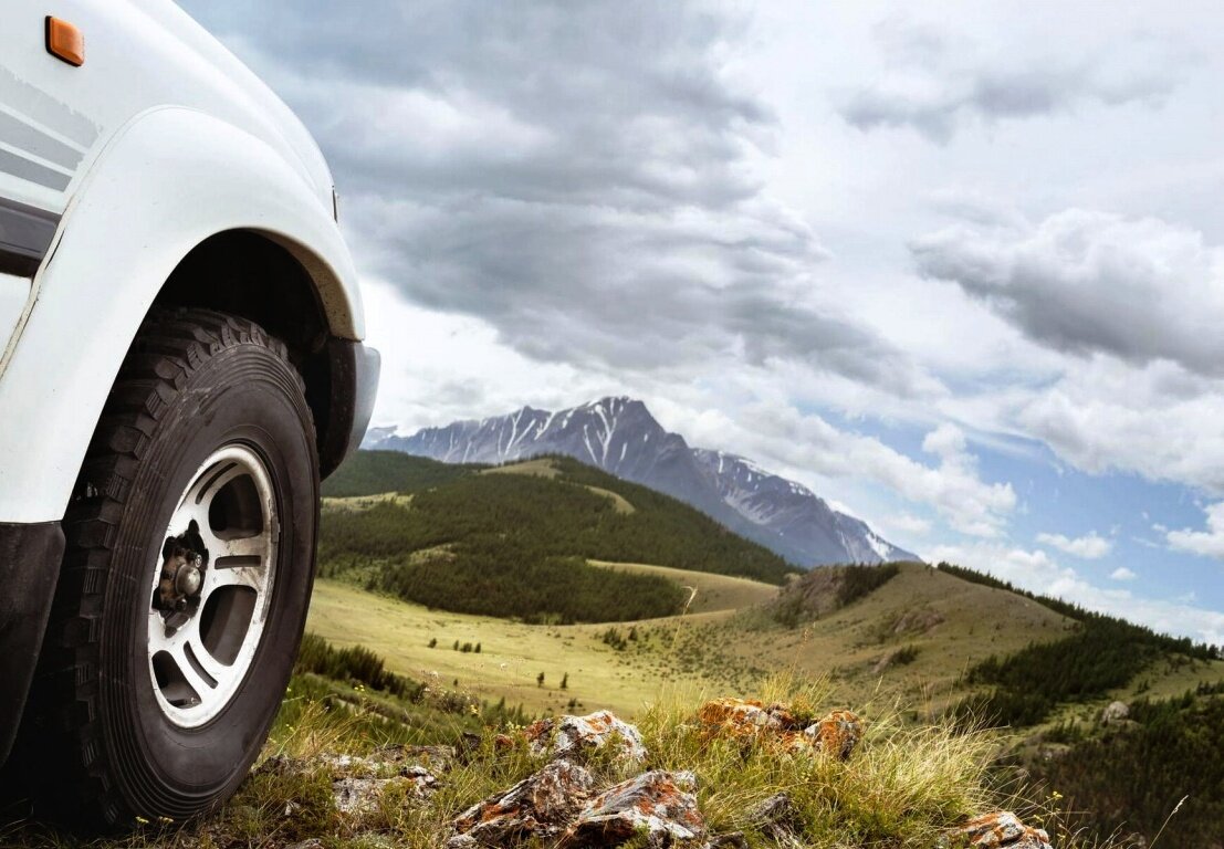 Чем больше обиды в тебе, тем дольше ты здесь застрянешь.