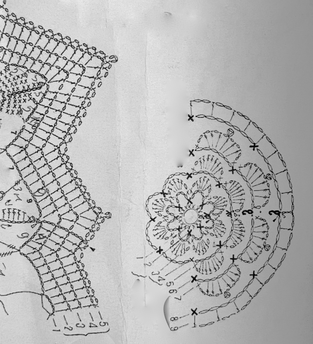 Фрагмент цветка и канвы в схеме.