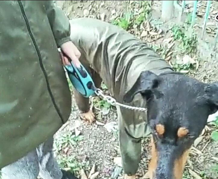 Вот думаю, может капюшон всё-же надо? 🤔