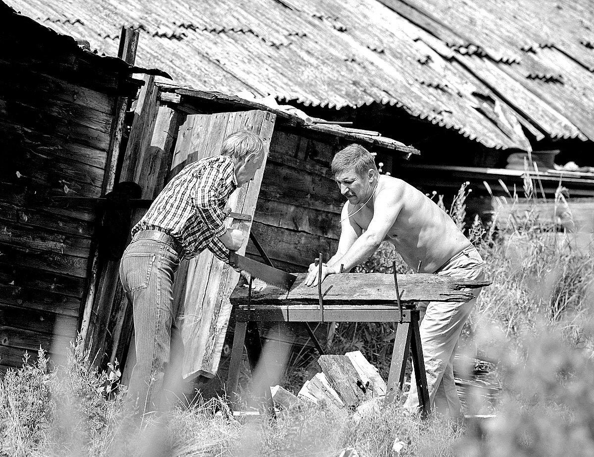 Паразитизм процветает там, где альтруизм теряет иммунитет