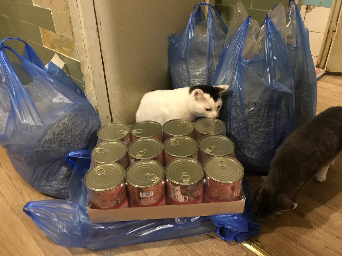 Фото авторов. Генрих и Филя на приемке