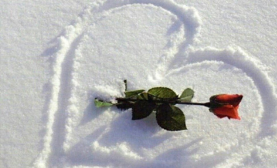 Надеюсь она поймёт